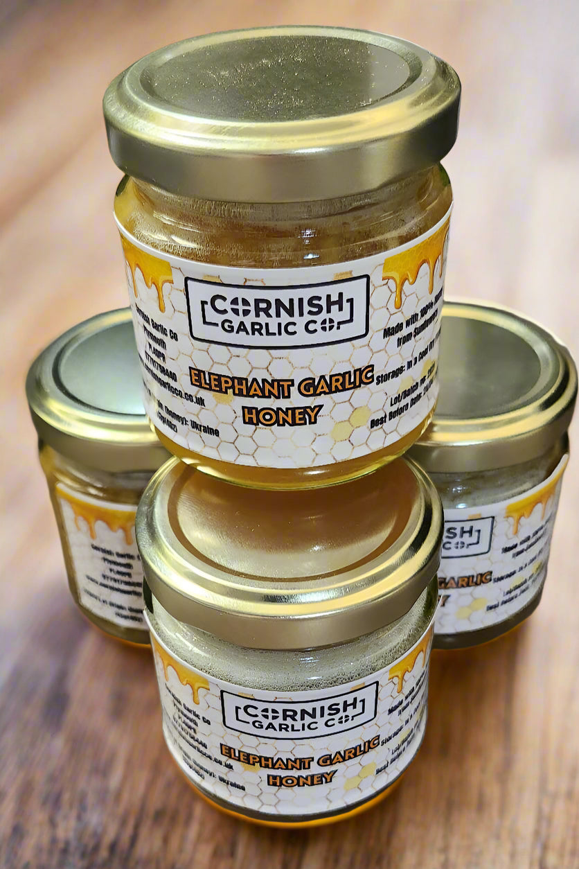 Elephant Garlic Infused Honey