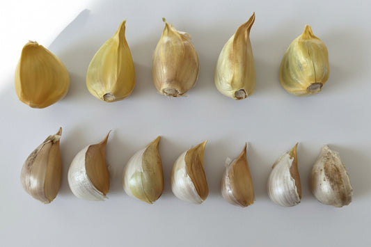 Elephant Garlic Cloves x 10 - Plus 2 Free